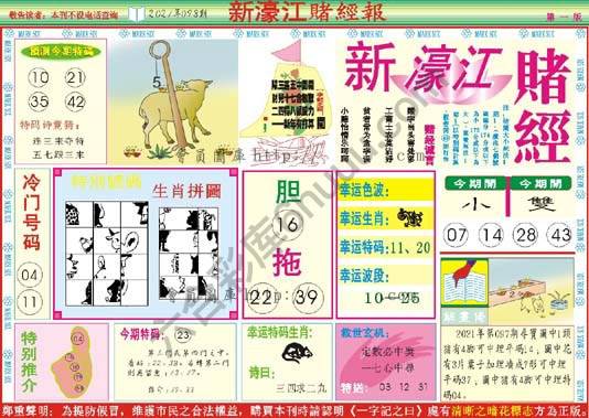 新濠江赌经