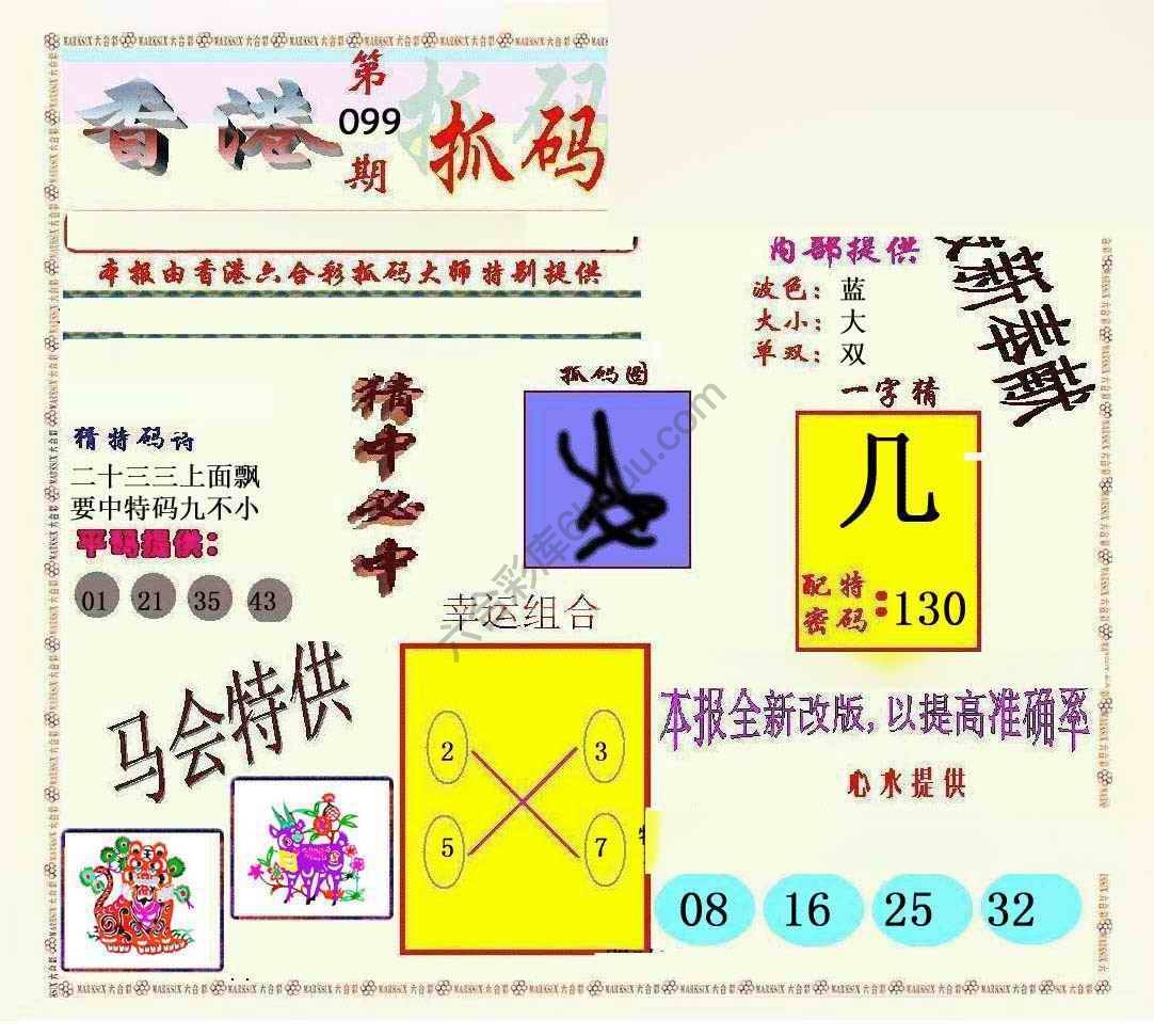 新抓码王