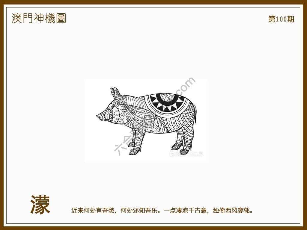 澳门神机图