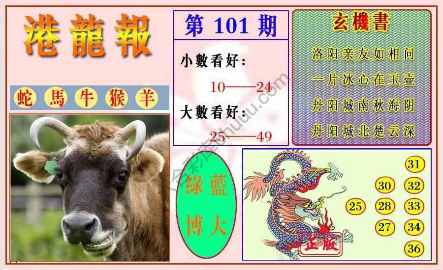 港龙报