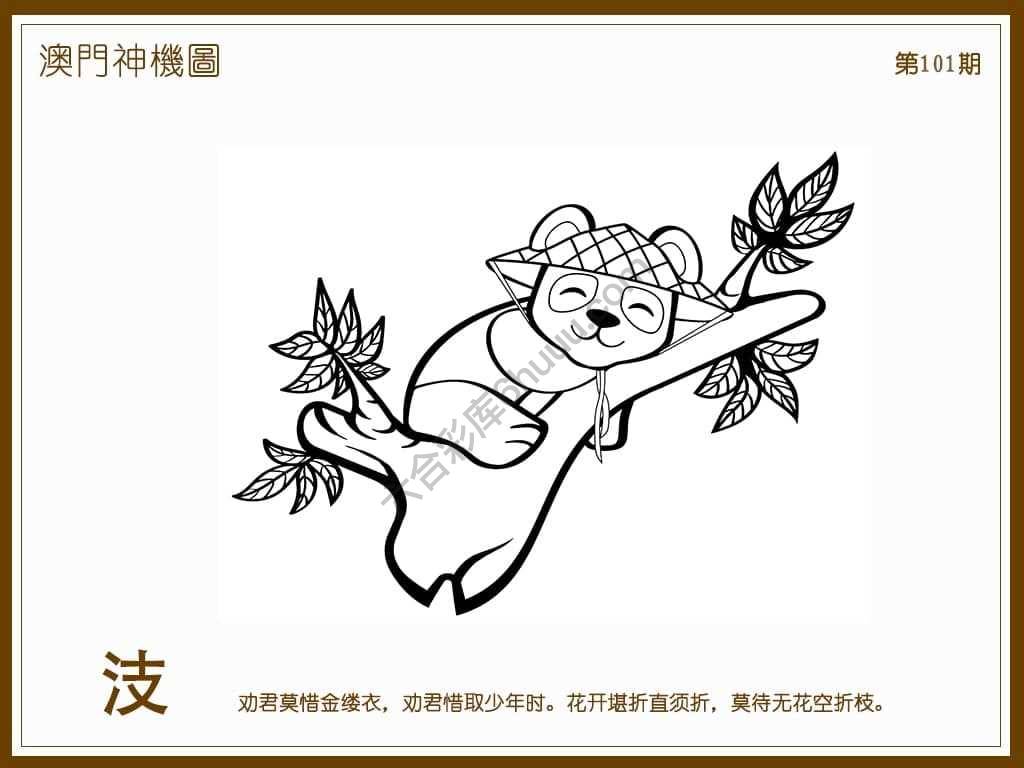 澳门神机图