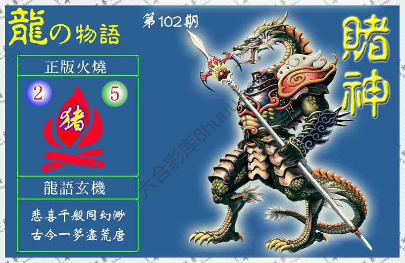 赌神龙报