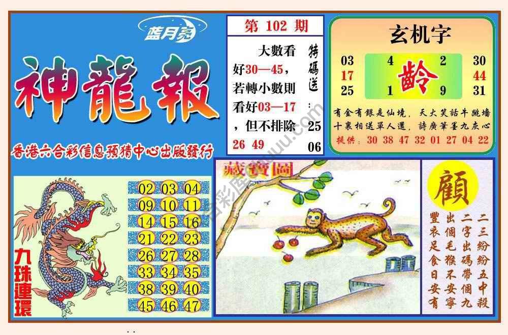 蓝月亮神龙报