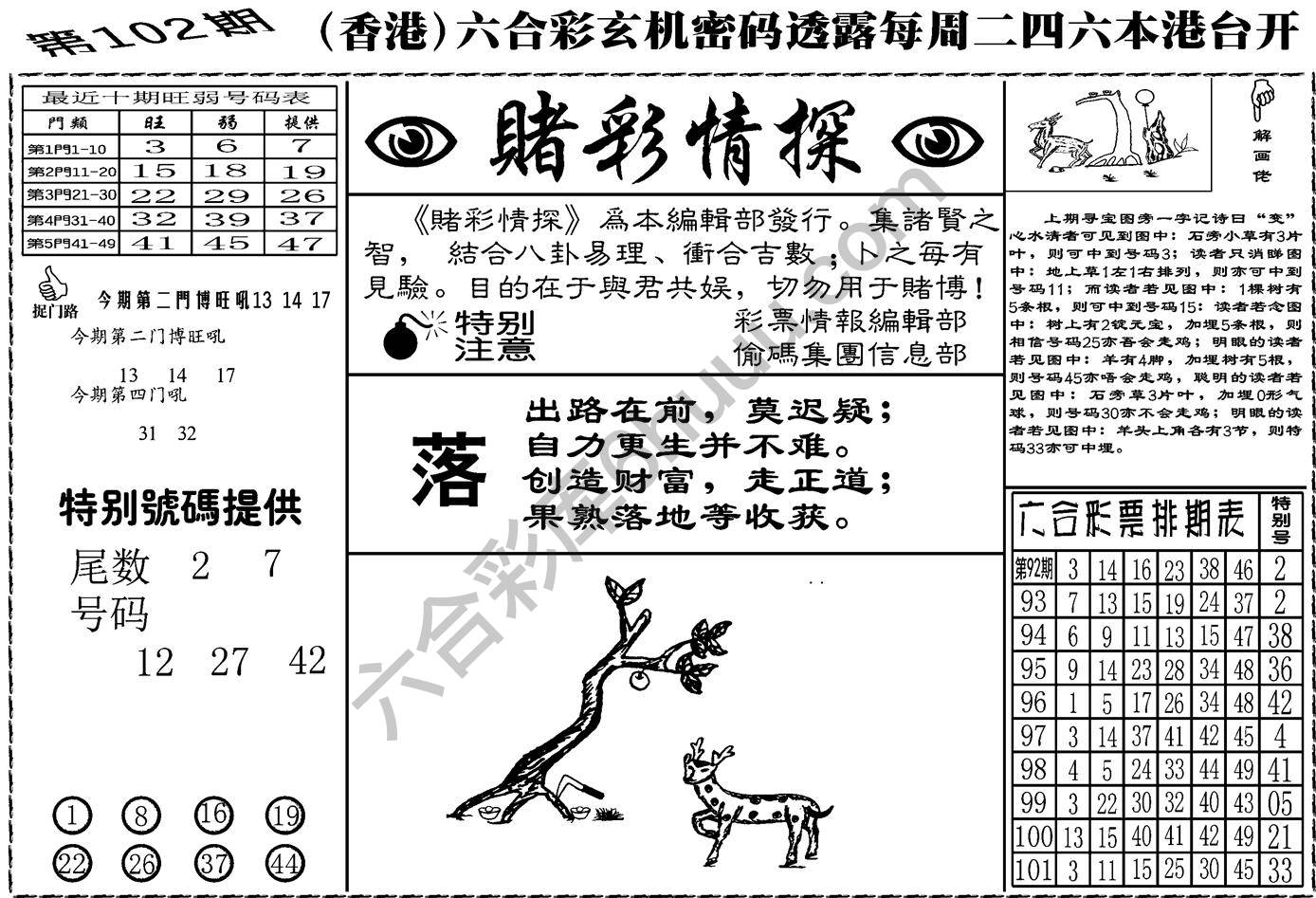 赌彩情探