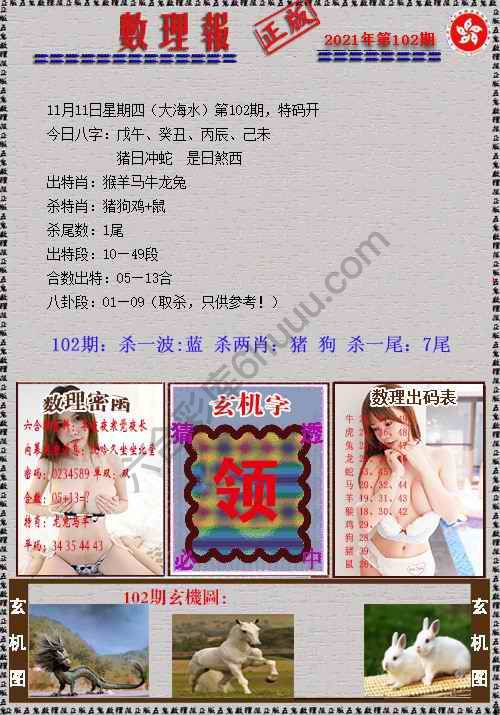 数理报