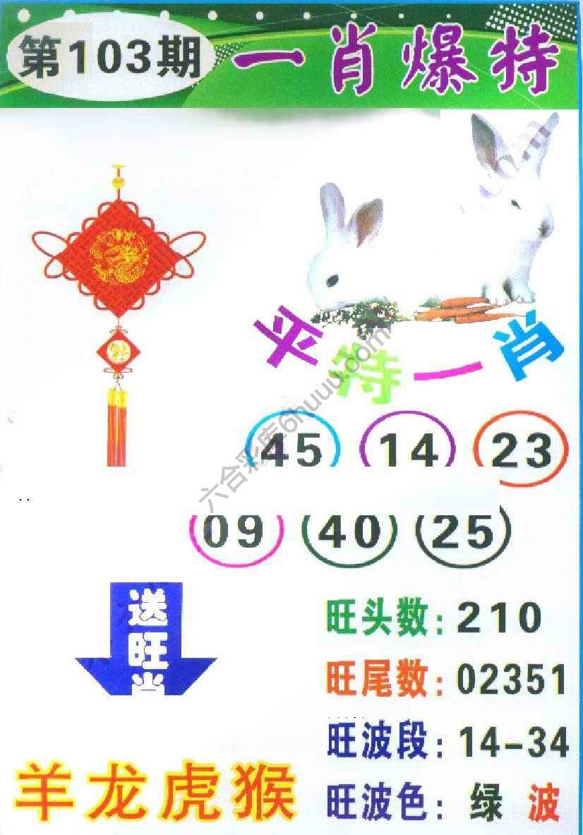 一肖爆特（新版）