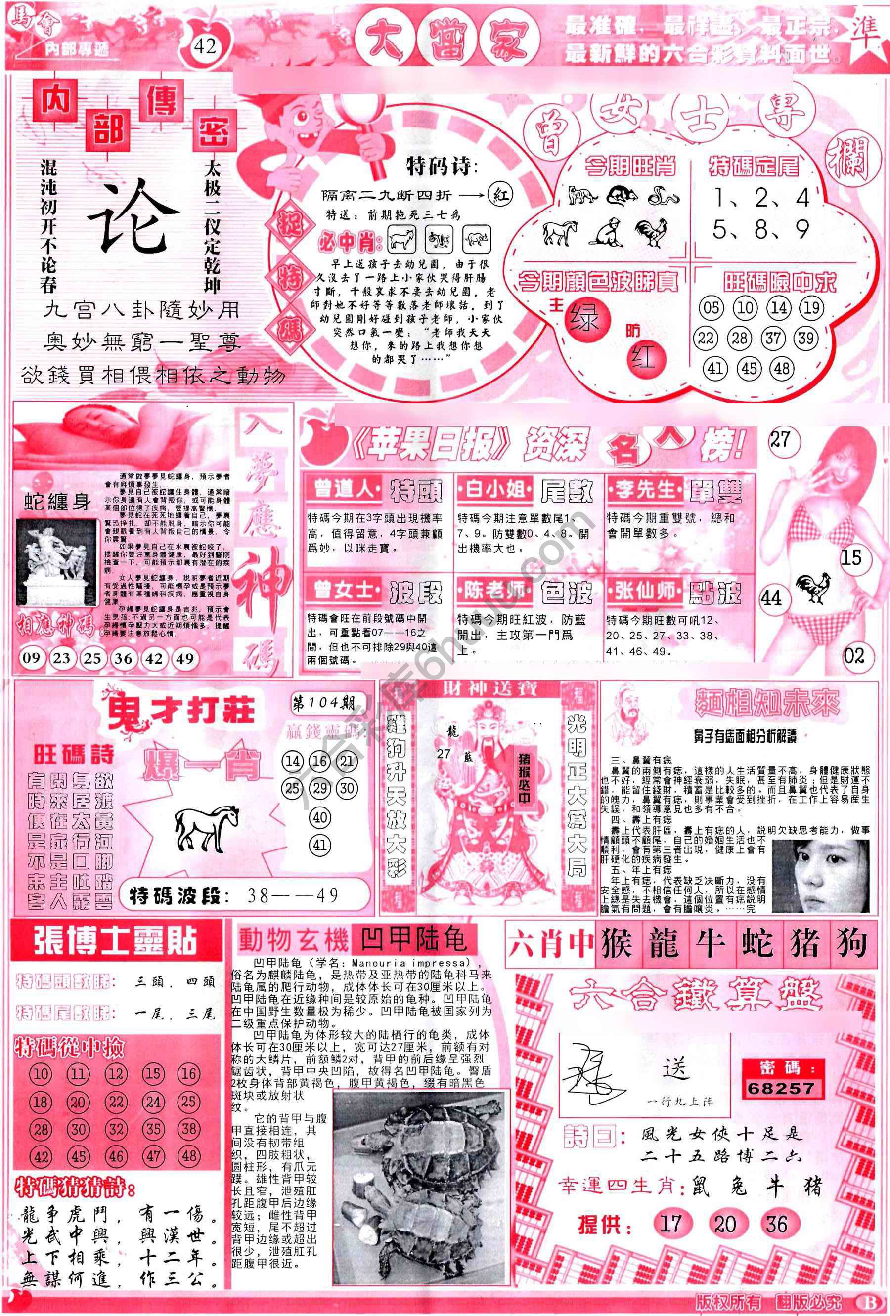 大当家