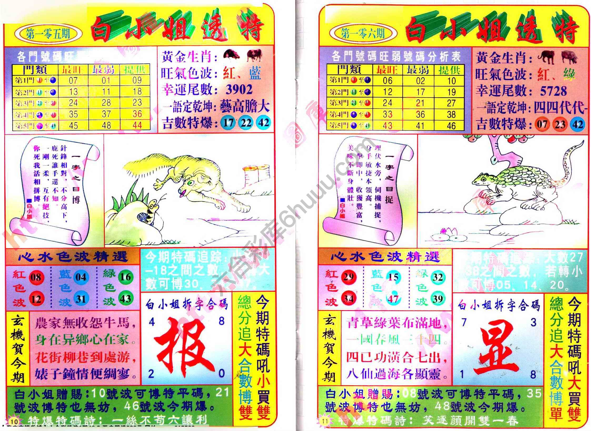 白小姐透特