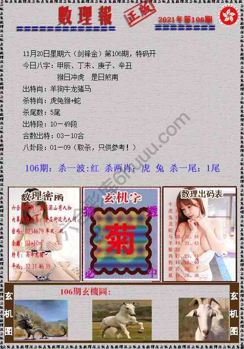 数理报