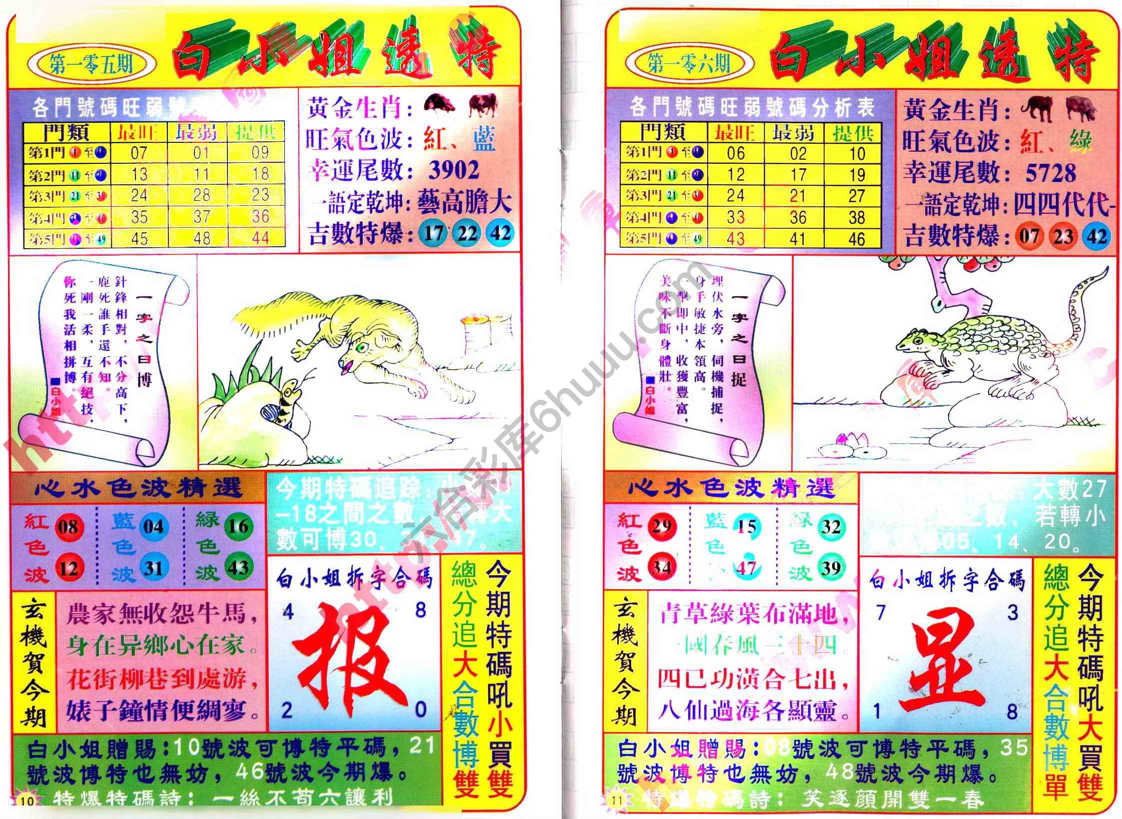 白小姐透特