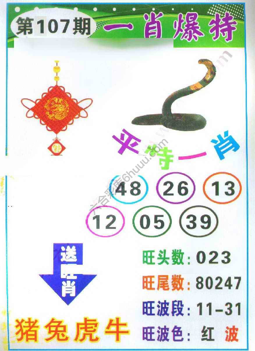 一肖爆特（新版）