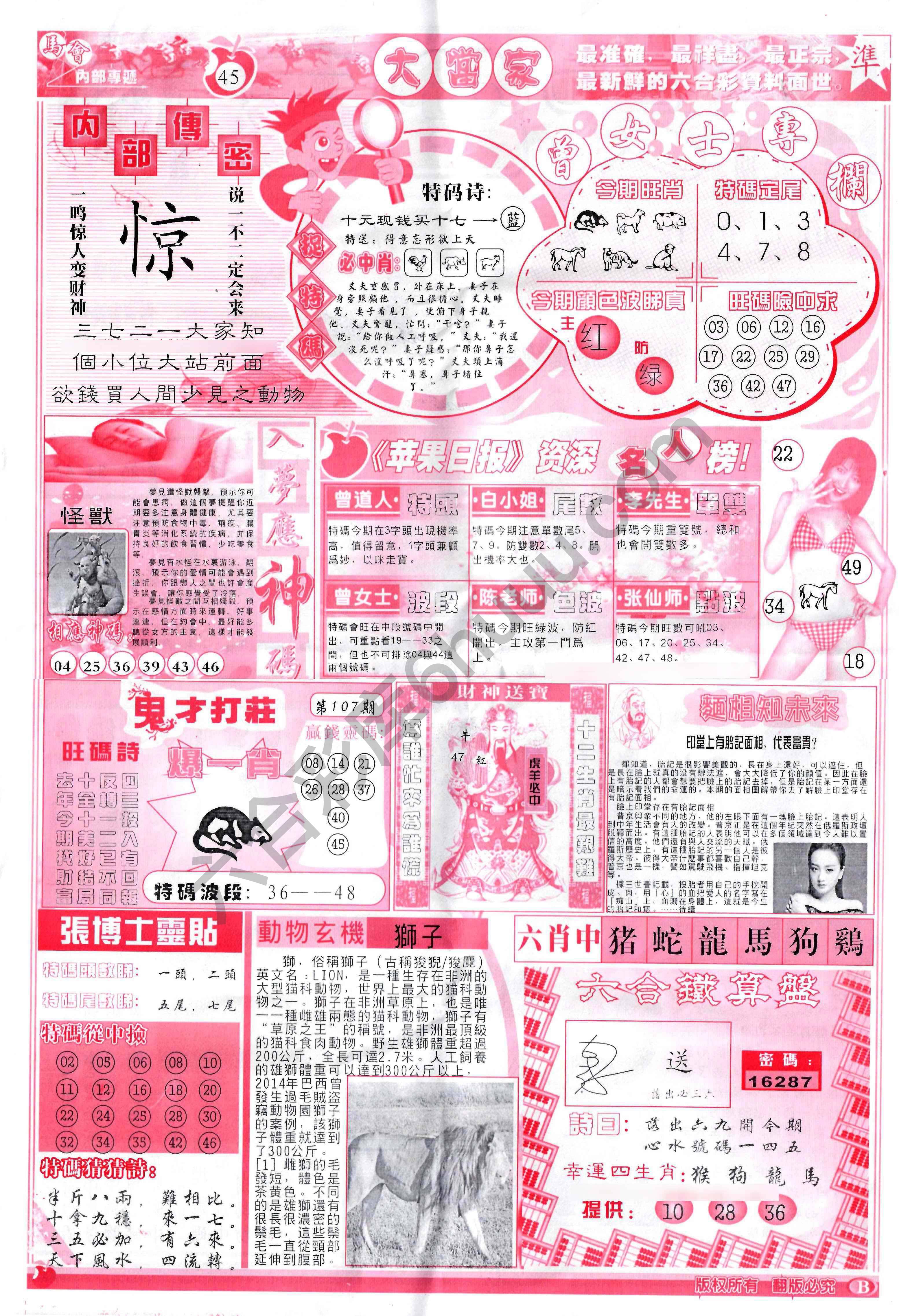 大当家