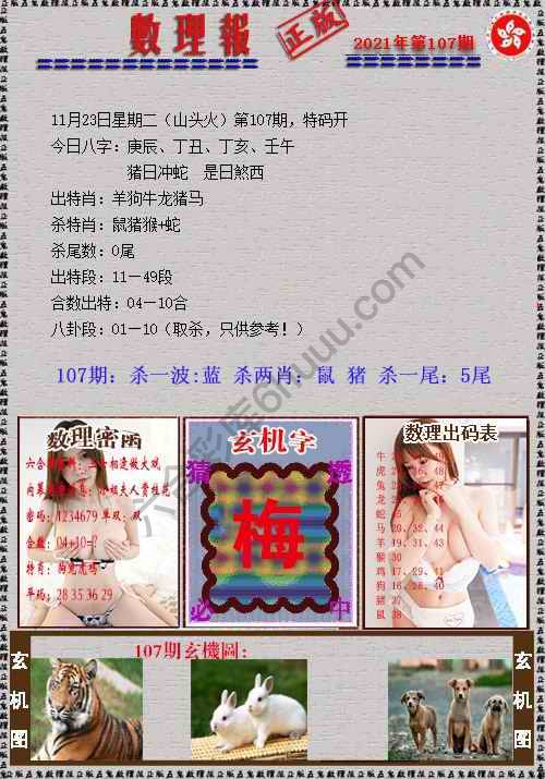 数理报