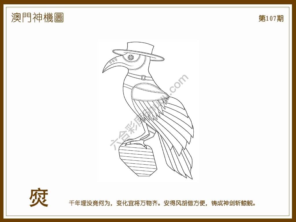 澳门神机图