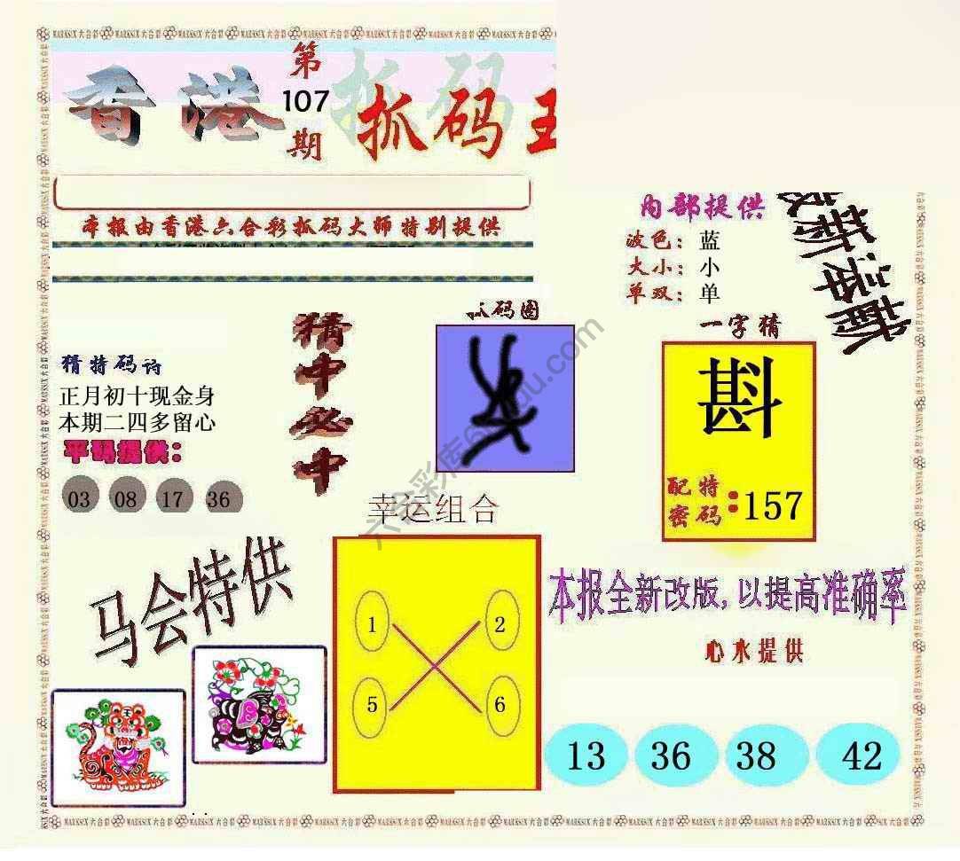 新抓码王