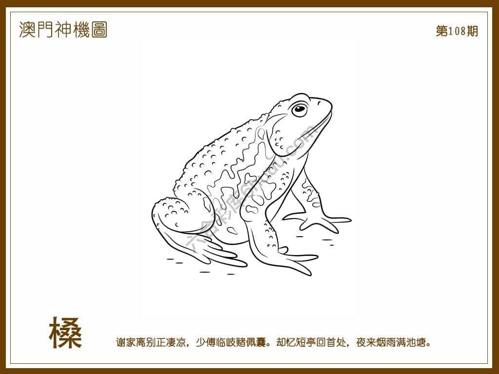 澳门神机图