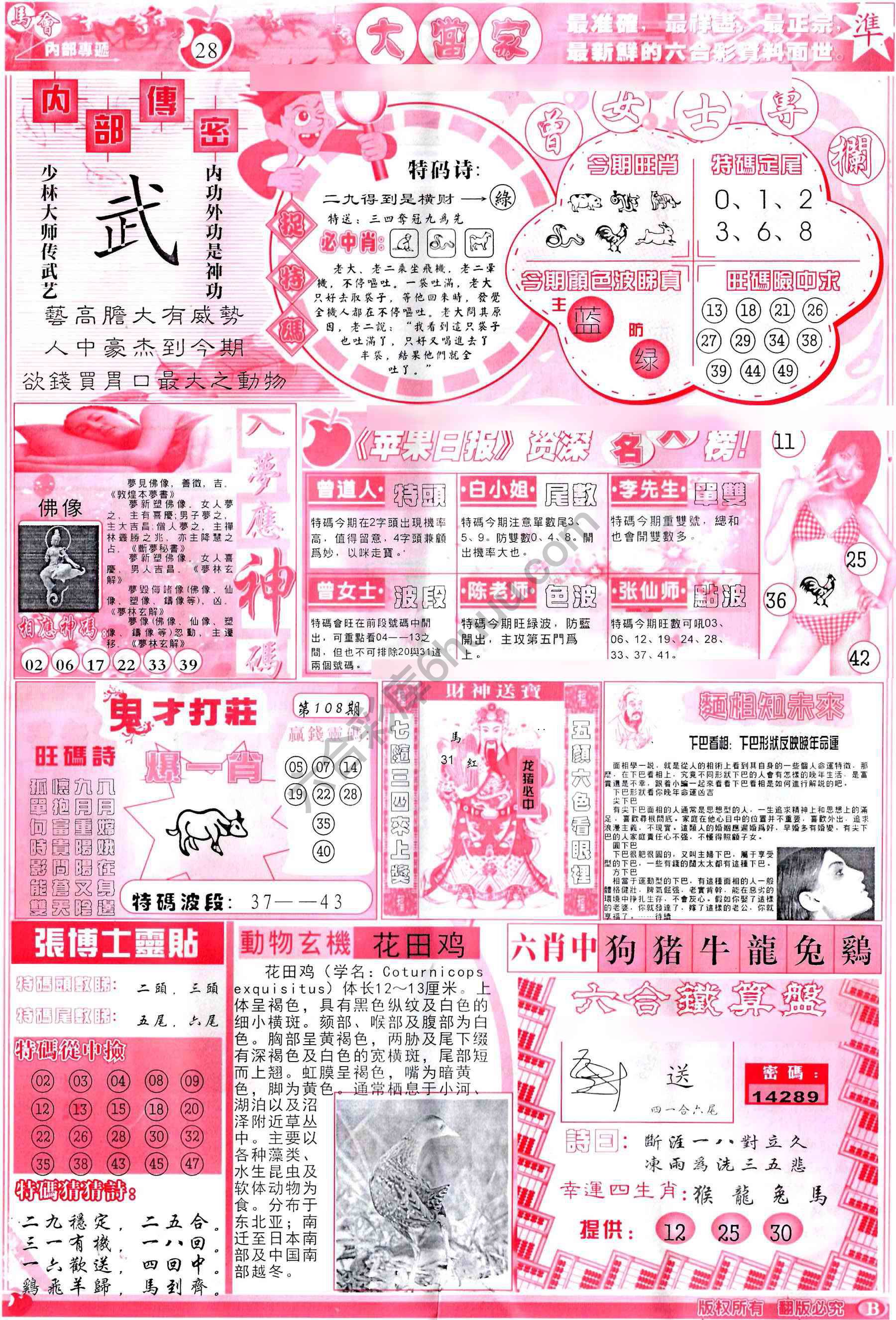大当家