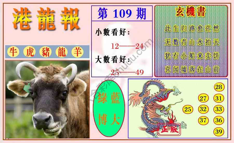 港龙报