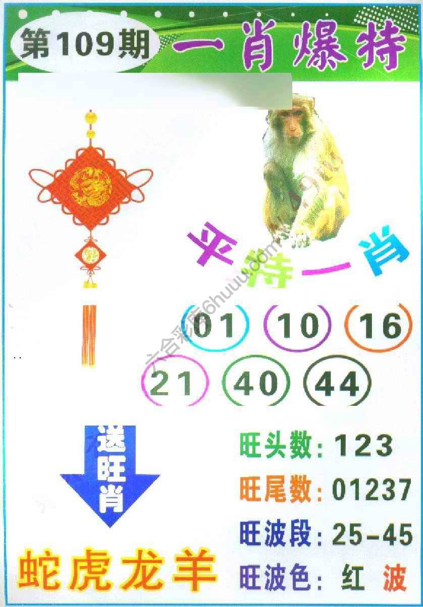 一肖爆特（新版）