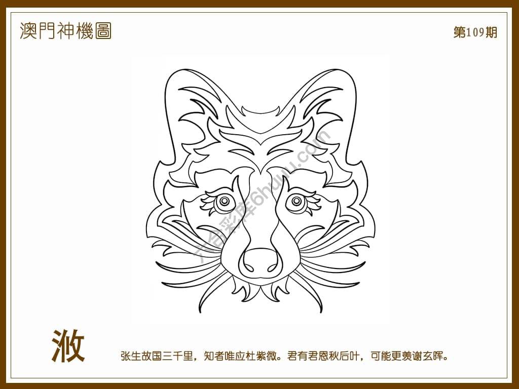 澳门神机图