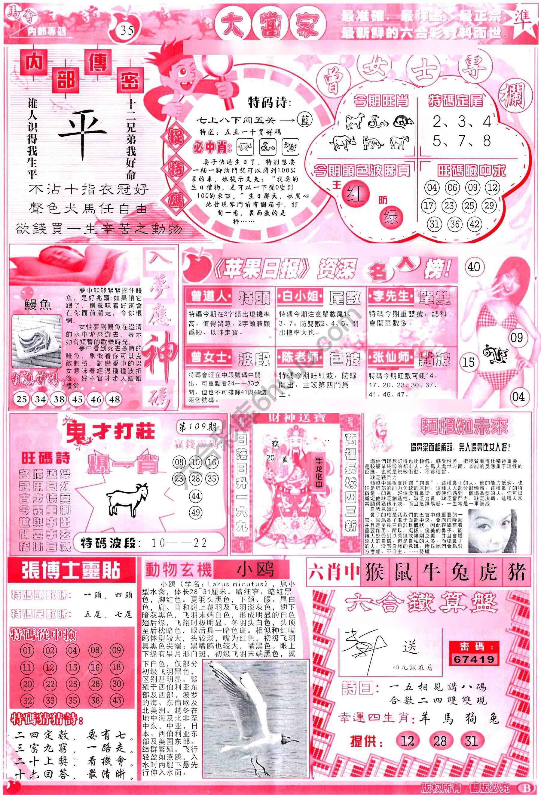 大当家
