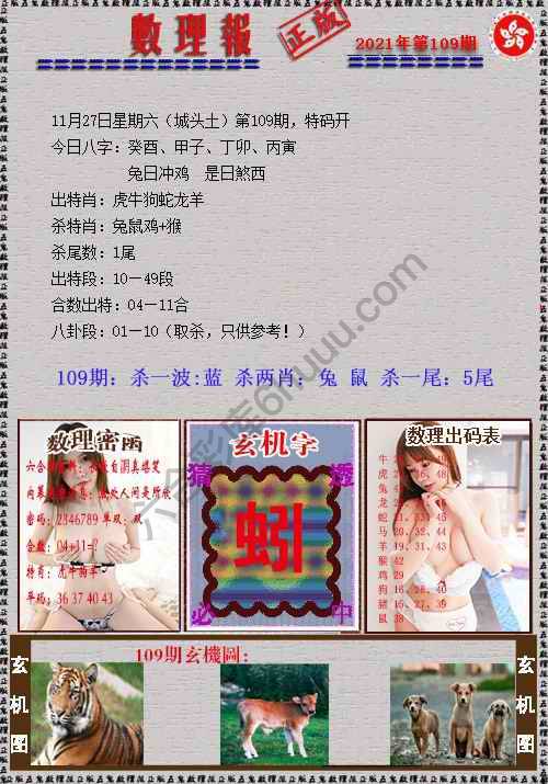 数理报