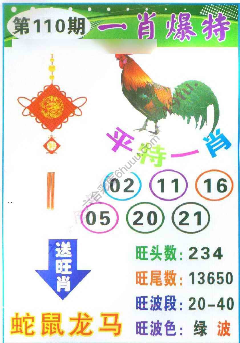 一肖爆特（新版）