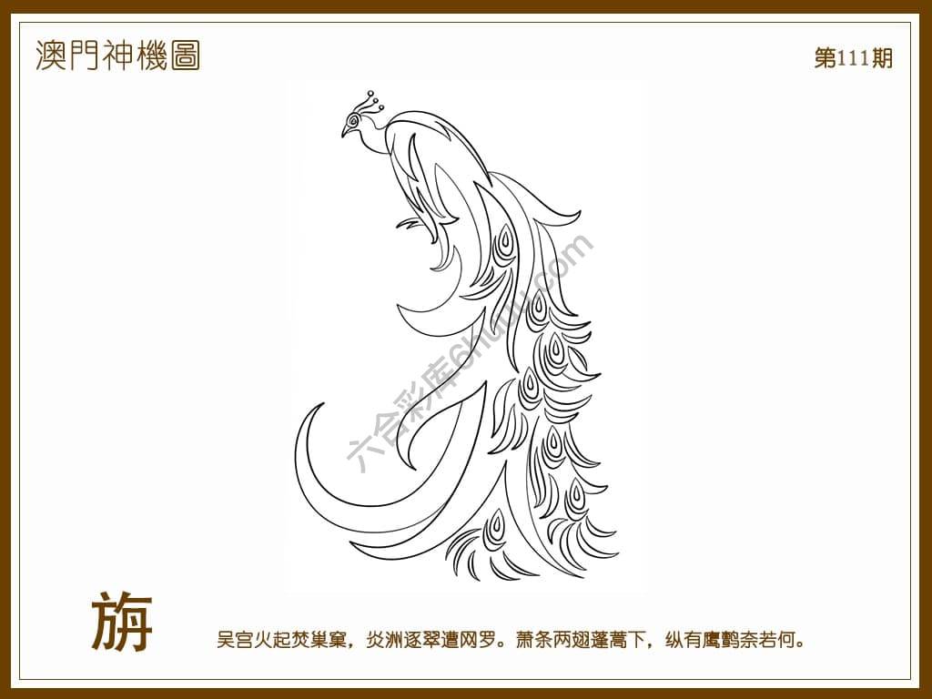 澳门神机图