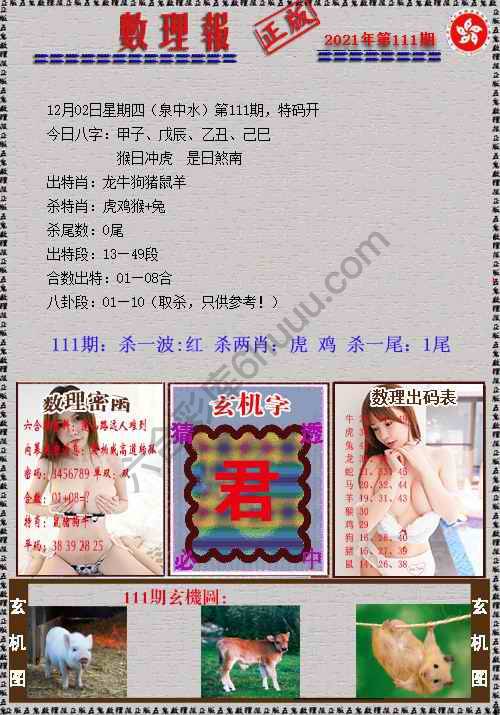 数理报