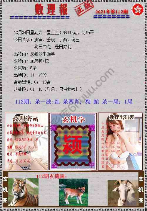 数理报