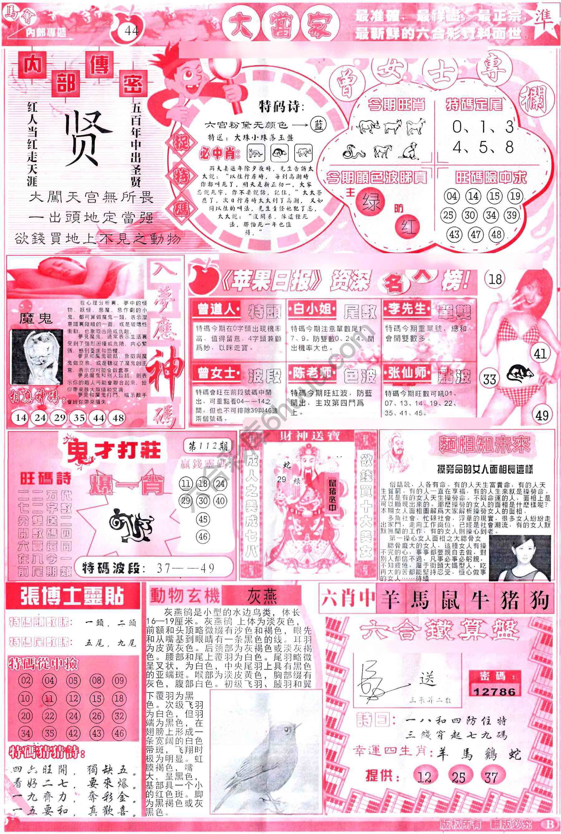 大当家