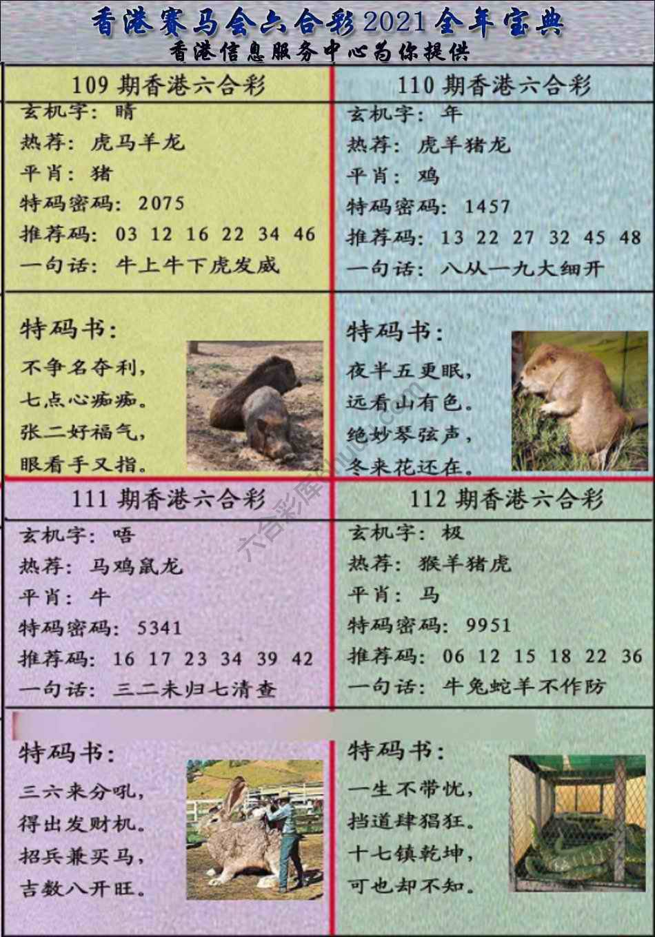 宝典报