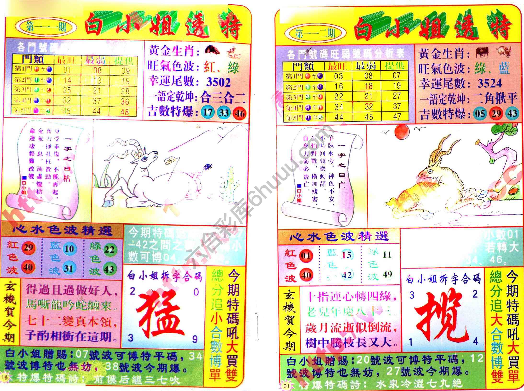 白小姐透特
