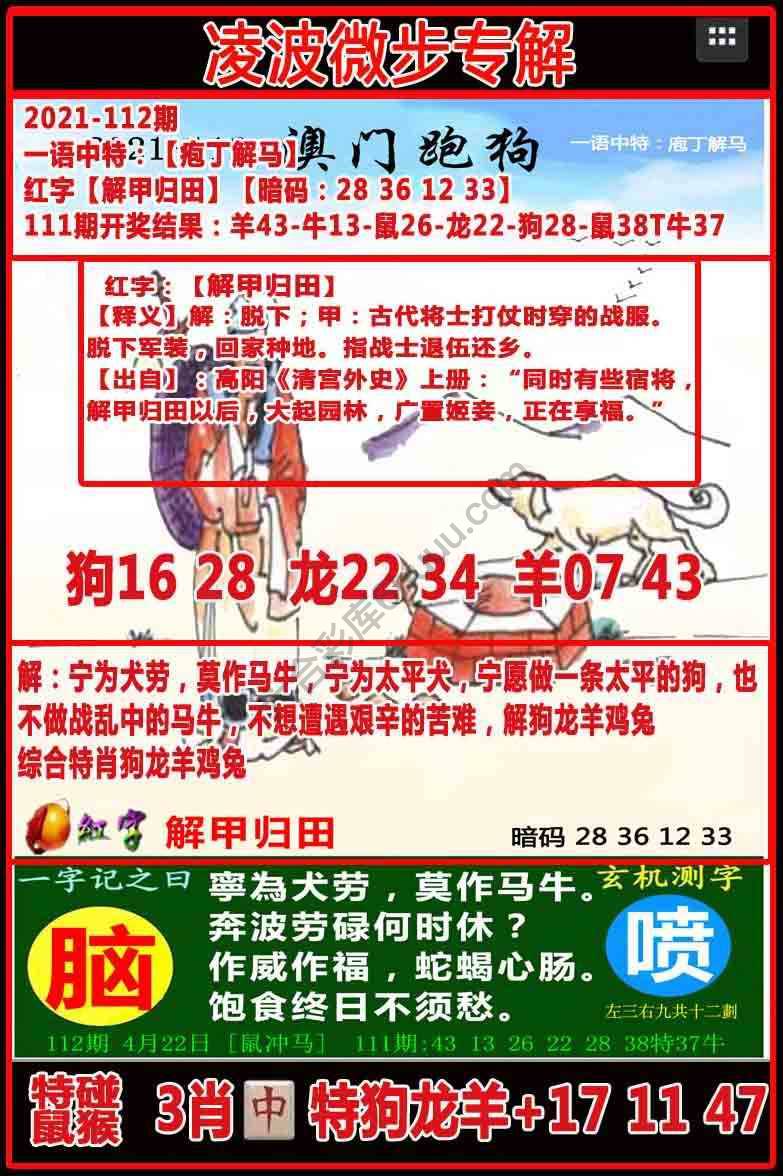 凌波微步解跑狗
