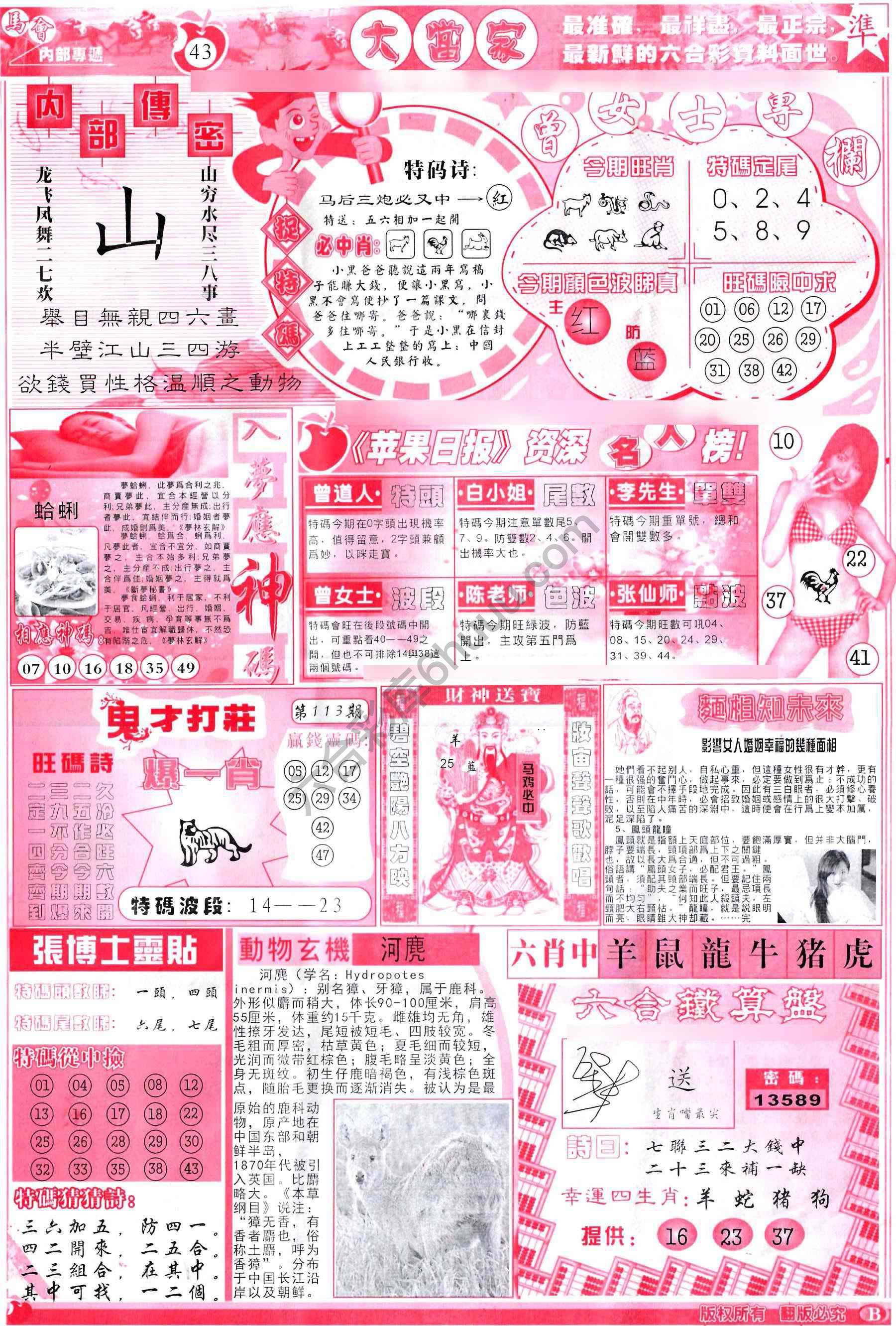 大当家