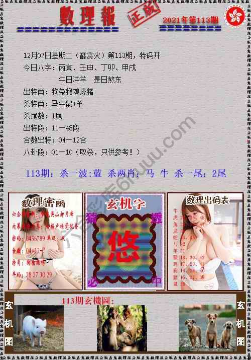 数理报