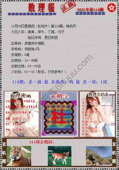数理报