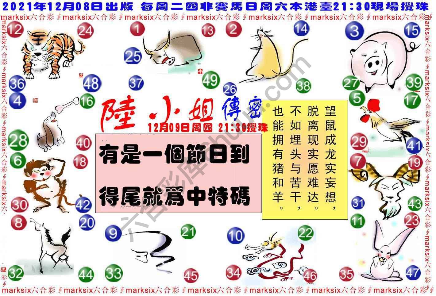 陆小姐传密