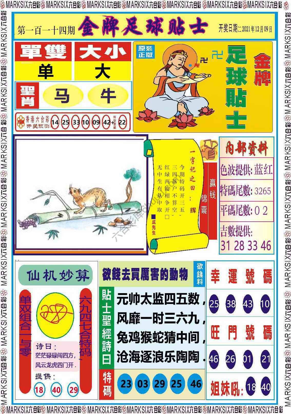 金牌足球贴士
