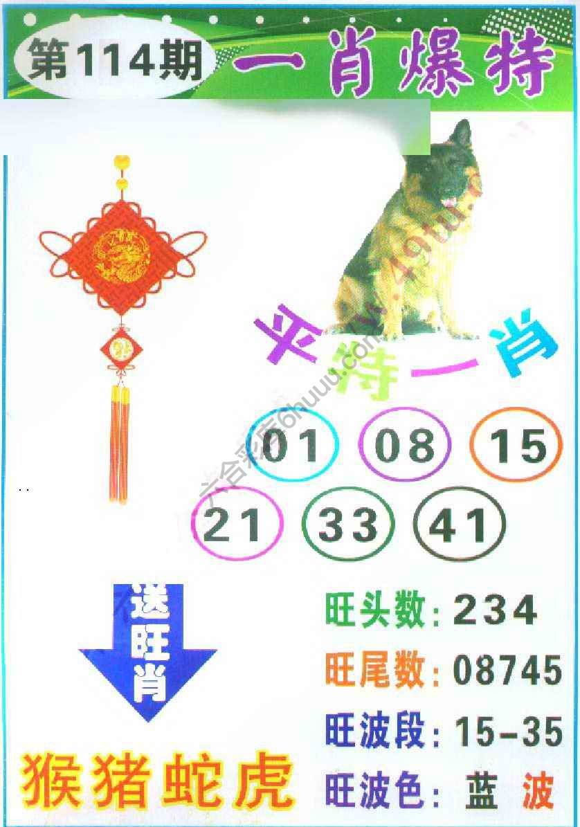 一肖爆特（新版）