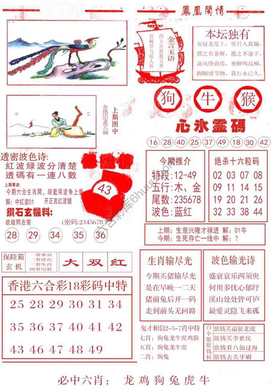 凤凰闲情
