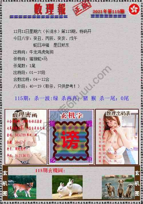 数理报