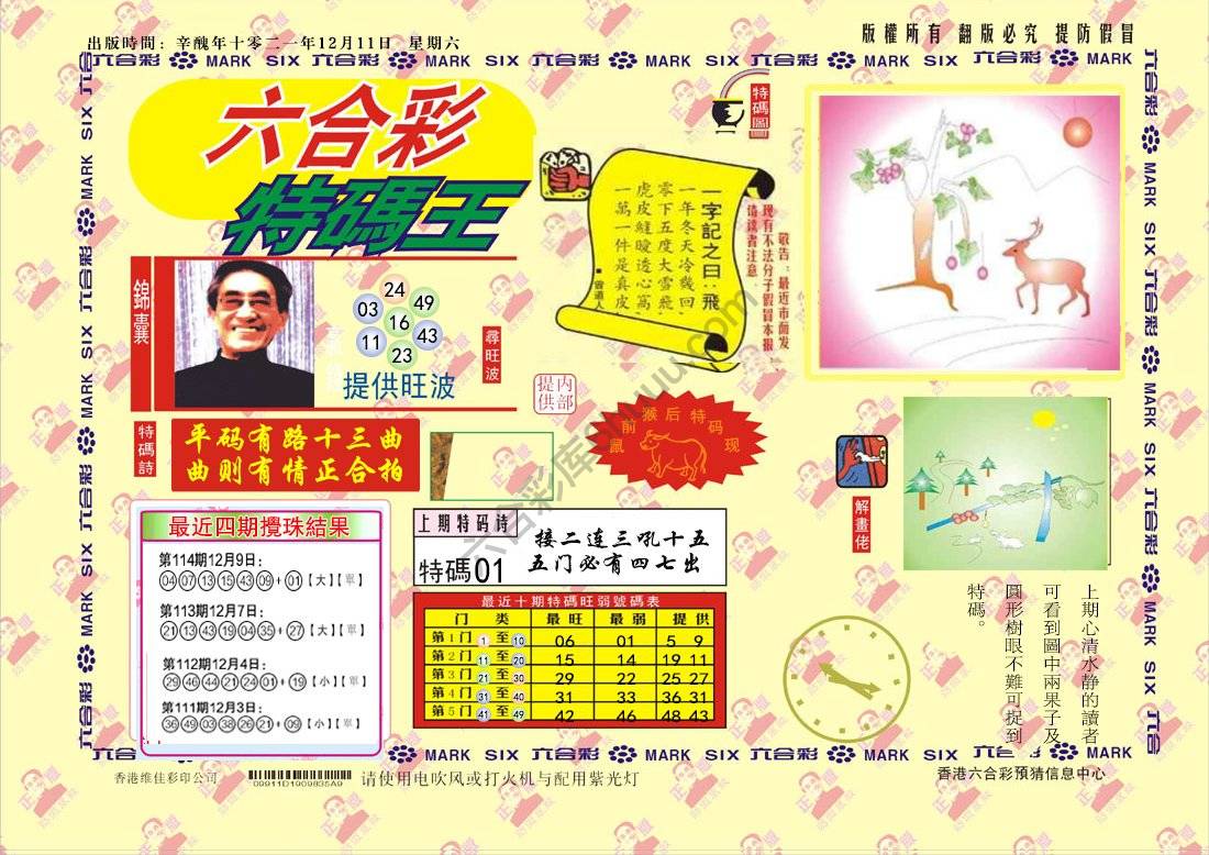 特码王