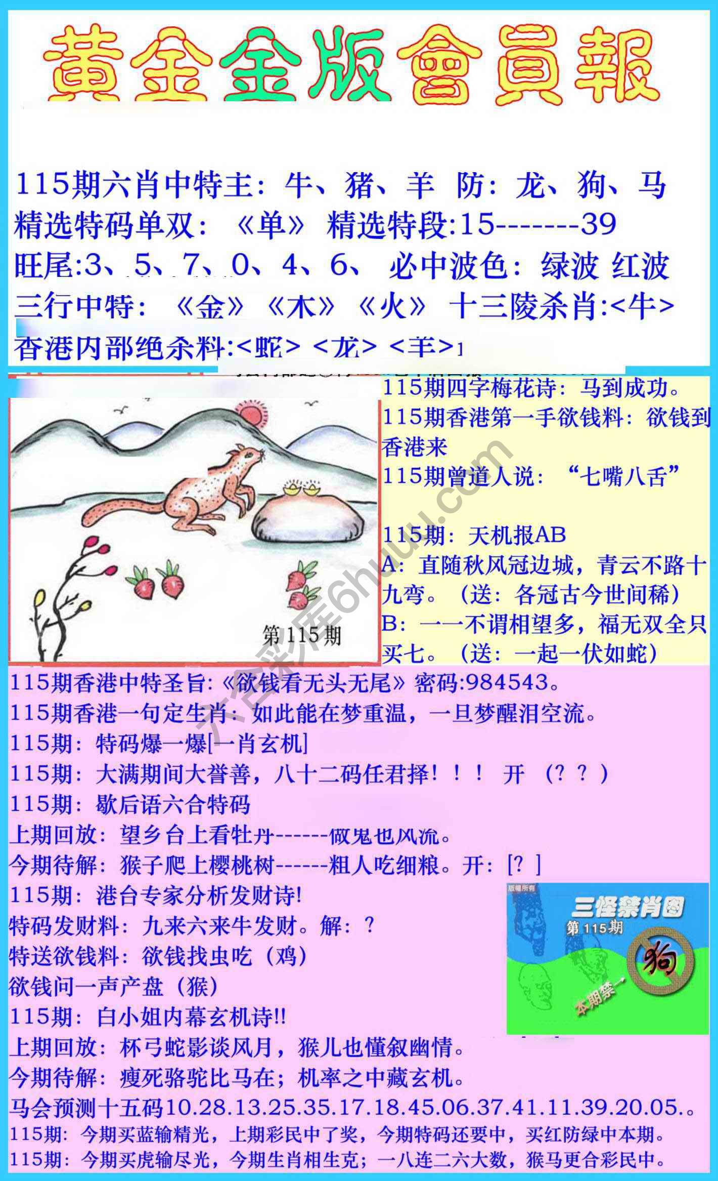 黄金金版会员报