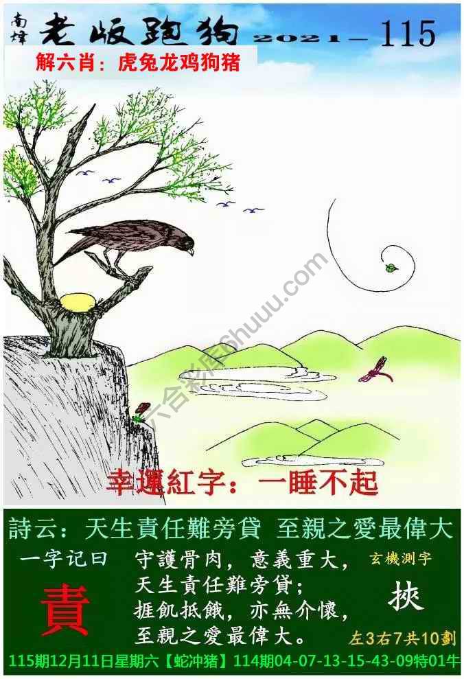 老版跑狗图