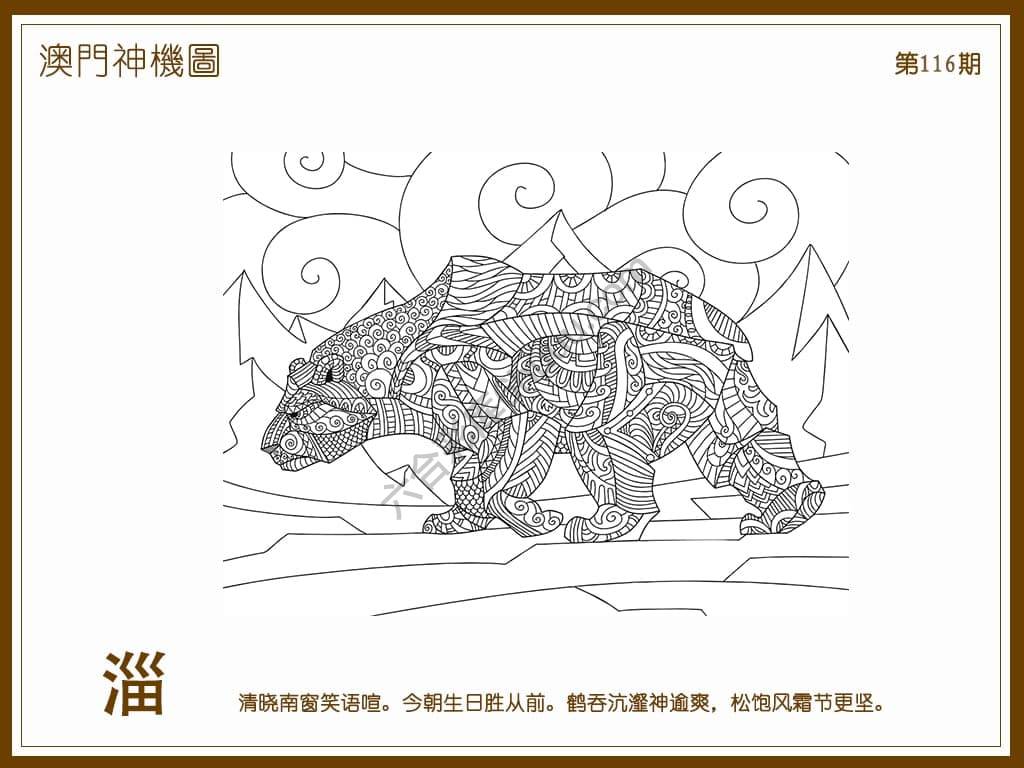 澳门神机图
