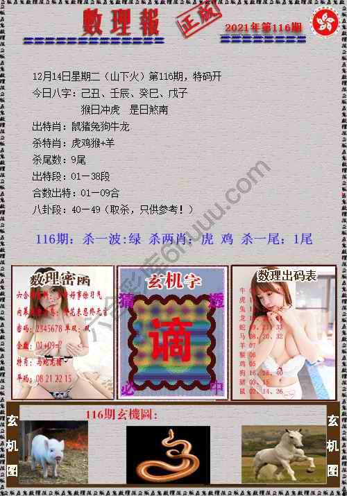 数理报