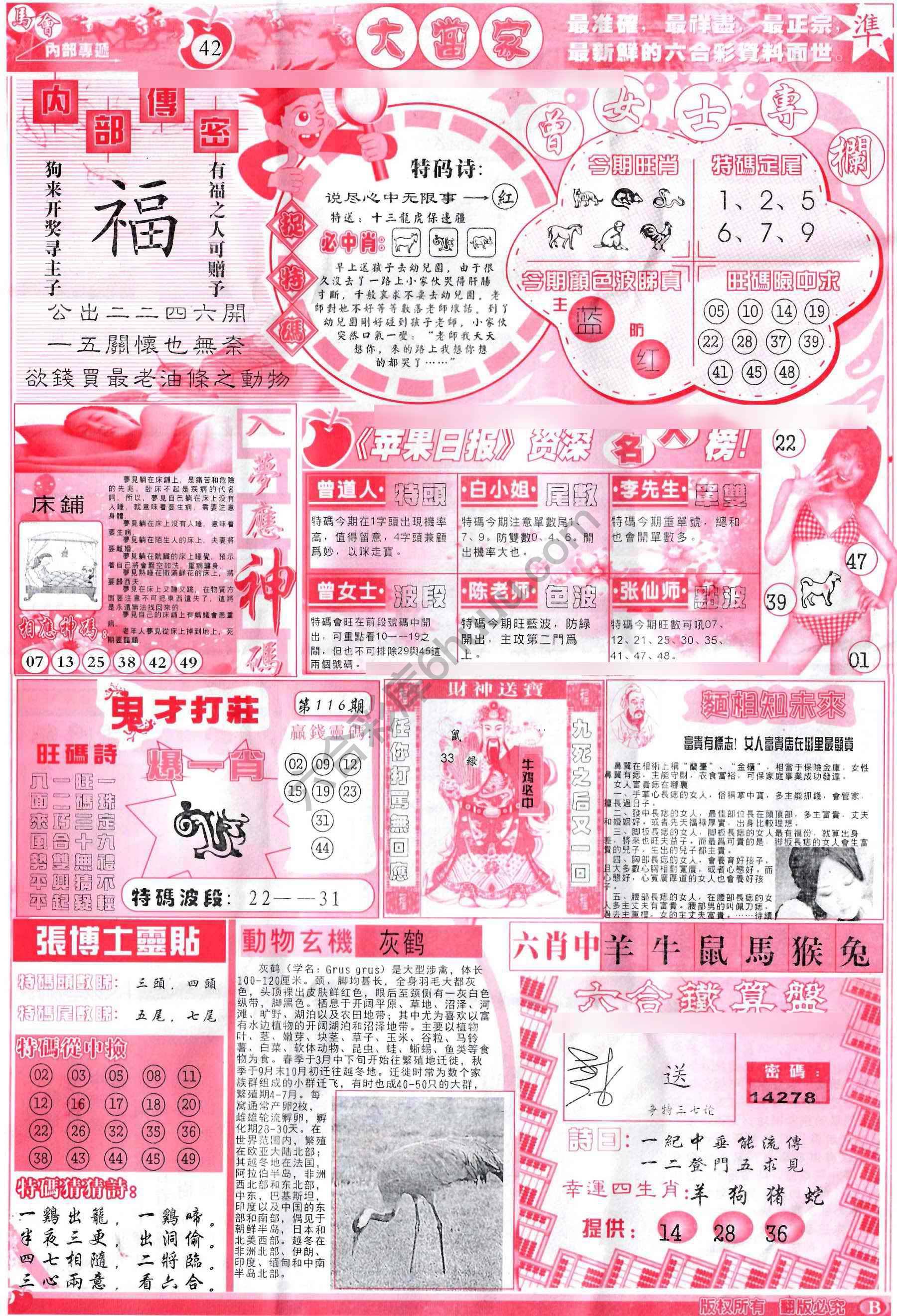 大当家