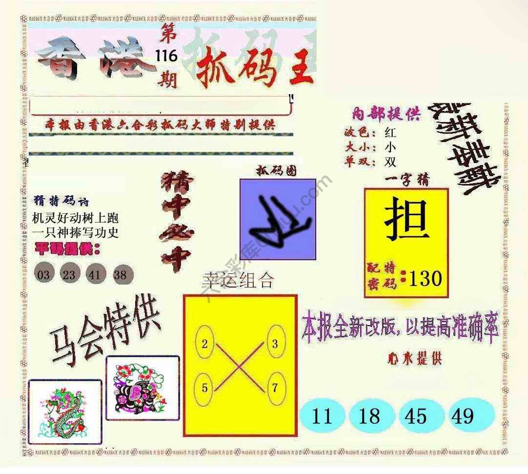 新抓码王