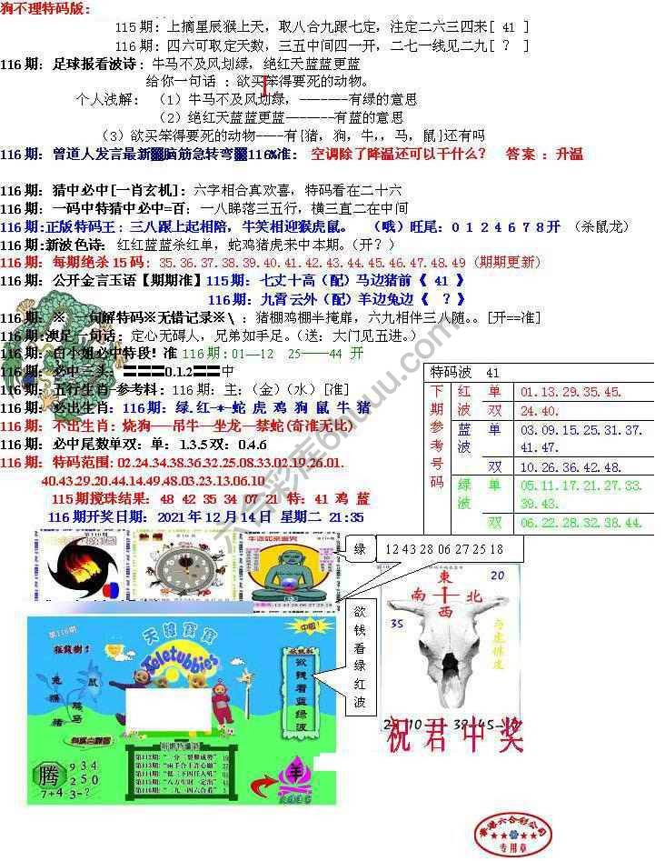 青龙五鬼报